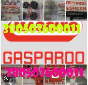 ���������� ���������� Gaspardo - ����������� 1