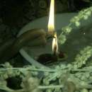 ���������� ���������� �����. �����, ������� � ����������� - ������