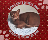 ������� � ����������: ���������� �����,����� ����� - ���������� ������ � ���, ���������