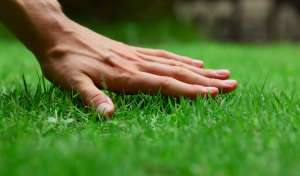 ���������� ���������� �������� - ����������� 1