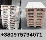 ������� � ����������: ���������� ���������� ��������, �������. ������������ � ������� ��������. �������� ��������