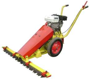 ���������� ����������� - ����������� 1