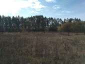 ����������, ����������� �-�, 30��. ����. 20 ����� - 4000 $ - ����������� 3