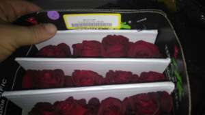 ���������� ����������� ���� Blash ����� ������� �� � ��������� �� 1 �������. - ����������� 1