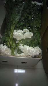 ���������� ����������� ���� ���� ����� ����� ������� �� � ��������� �� 1 �������. - ����������� 1