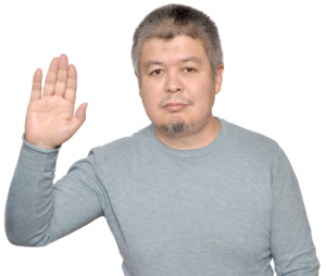 ���������� ����������� ���� ��������� ���� - ����������� 1