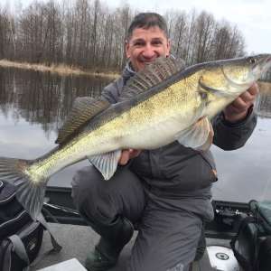 ���������� ����-������� ����� - ������ ����, ������� �������� - ����������� 1