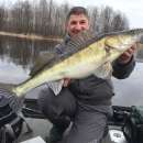 ������� � ����������: ���������� ����-������� ����� - ������ ����, ������� ��������