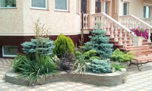 ����������, ����������� ������ - ����������� 1