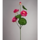 ������� � ����������: ���������� ������������� �����.