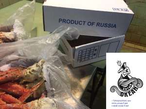 ���������� ���������������� ������������ ����� L II �� 1250 ������ �� ��. - ����������� 1