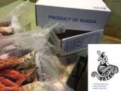 ������� � ����������: ���������� ���������������� ������������ ����� L II �� 1250 ������ �� ��.