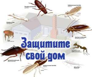 ���������� ������,�����������. - ����������� 1