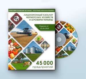 ����������� 2019 �������� Call-������� + ������� - ����������� 1