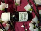 ����������� 25 ����� - ����������� 2