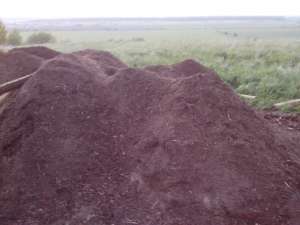 ����������� 4-� ������������ ����� - ����������� 1