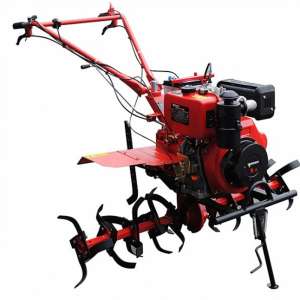 ����������� Forte 1350E ������ 12" - ����������� 1