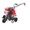 ������� � ����������: ����������� Forte HSD1G-68B