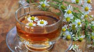 �����������. - ����������� 1