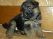 ����������� - ����������� 2