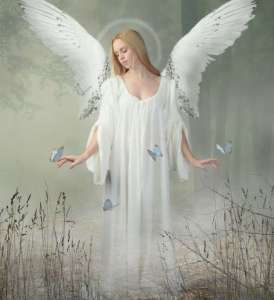 ����������� - ����������� 1