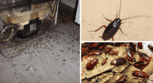 ����������� - ����������� 1