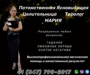 ����������� � ������. ���������. ������ �����. �������� �����. - ����������� 1