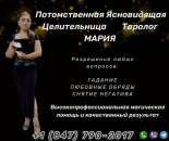 ����������� � ������. ���������. ������ �����. �������� �����.