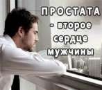 ������� � ����������: ����������� �po���������� ��c���: �������-��������������� �������p�