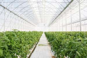 ����������� �� ����������� ���������� ���������. - ����������� 1