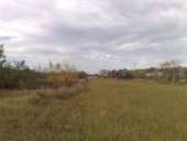 ����������� ���. ���������� - ������