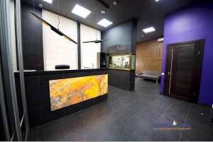 ����������� - ��� ������, ������, ���������. - ����������� 1