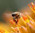 ����������� ���. �������� ������ - ����������� 2