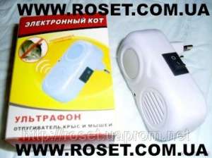 ����������� ��� ��������� - �������������� ������������ ���� � ����� - ����������� 1