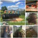 ����������� ��� ����������� ����. - ����������� 2