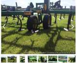 ������� � ����������: ����������� ��� �����������, ����������� ���� ��� 960 6,7 �.