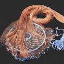 ����������� ����