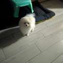 ����������� ���� - ����������� 2