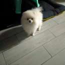 ����������� ���� - ����������� 3