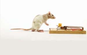 ����������� ���� � ����� � ����� - ����������� 1