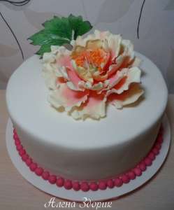 ����������� ���� � ������ ������ - ����������� 1