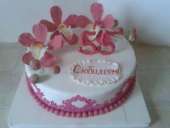 ����������� ���� � ��������� �� 55-�� �����