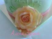 ����������� ���� �� ������ ���� � ��������� ������� ������ - ����������� 3