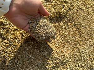 �����������, ���� ��� ������� �������� - ����������� 1