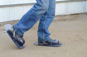 ����������� ���� ��� ���������� - ����������� 1