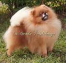 ������� � ����������: ����������� ���� ����