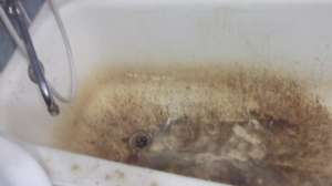 ����������� ���� ���� - ����������� 1