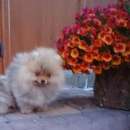 ����������� ���� ���� � ������� ����� �� ����������������� ��������� - ����������� 2