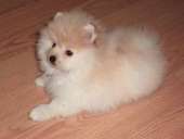 ������� � ����������: ����������� ���� �����