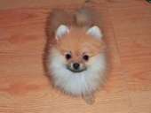 ����������� ���� ����� - ����������� 2